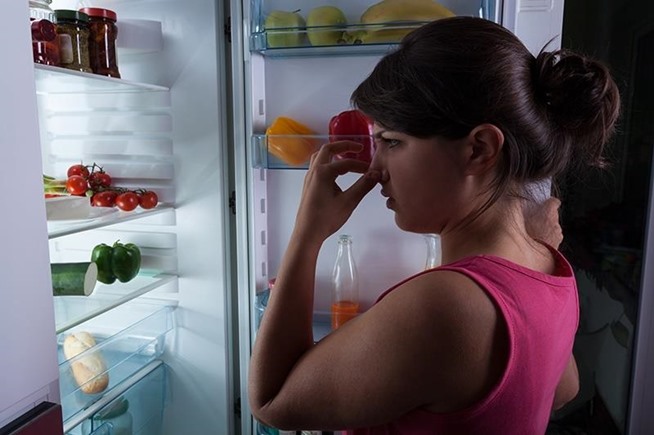 Cách khử mùi hôi tủ lạnh hiệu quả dễ làm nhất